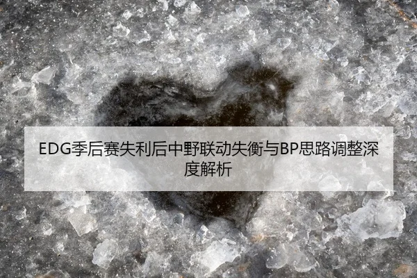 EDG季后赛失利后中野联动失衡与BP思路调整深度解析
